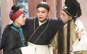 庐剧八世团圆狸猫换太子窦娥冤等视频打包下载安徽庐剧大全全集mp4 第1张