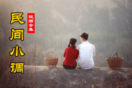 26部 安徽民间小调 唢呐说唱全集 视频百度网盘打包下载