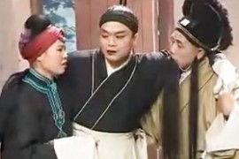 庐剧八世团圆狸猫换太子窦娥冤等视频打包下载安徽庐剧大全全集mp4