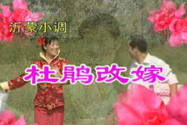 沂蒙小调 杜鹃改嫁 二部共16集戏曲mp4视频 百度网盘打包下载