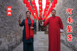 河南坠子《段保清投亲》全集2.28G下载MP4百度云18集