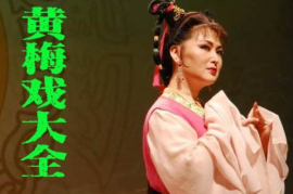 黄梅戏合集 风尘女子也有情 农夫娶娘娘 做官抢女人 血溅望夫亭等mp4视频云盘打包下载