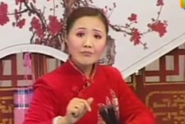 经典河南坠子《王莽赶刘秀》莫红梅视频完整版全集