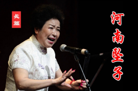 韩淑英坠子戏《皇爷私访陈州城》完整版1.16G百度云盘8集