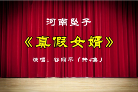 河南坠子戏《真假女婿》全集下载百度云791.02M MP4谷丽平