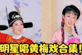 经典黄梅戏合集 挑女婿 五女拜寿 杨四郎过关 等视频mp4打包下载