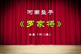 河南坠子《罗家将》完整版1.73G下载百度网盘