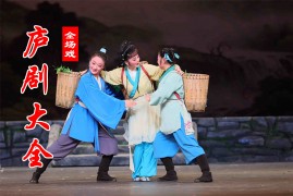 免费庐剧下载 白玉娘 报母恩 老光蛋等高清剧集会员免费19部下载