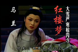 黄梅戏 红楼梦 黄梅精英 黄山情 潘张玉良等11部网盘MP4视频下载