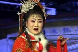 庐剧 刘志远看瓜完整版全集视频mp4网盘打包下载