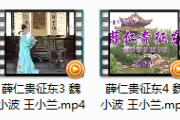 庐剧《薛仁贵征东》魏小波王小兰全集完整版 视频mp4网盘打包下载