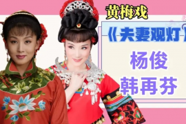 黄梅戏韩再芬《夫妻观灯》高音质mp3打包下载