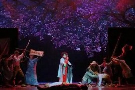 庐剧视频合集画皮魏二十四孝刘等高清版第五部分打包下载