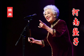 河南坠子全集 刘统勋出世 拉荆笆下载 百度网盘14.66G MP4视频 99部 