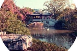 河南坠子陈元打擂1~10集打包下载