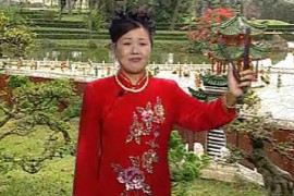 经典流畅版河南坠子《大红袍》莫红梅视频全集打包下载