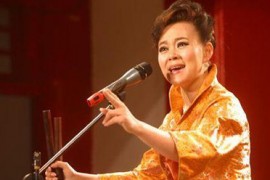 河南坠子呼延庆打擂老鼠告猫等高清mp4视频打包下载第二辑