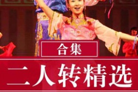 东北二人转25部光棍姻缘拉场戏等mp4视频正戏打包下载