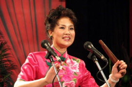 河南坠子大全 王三姐拜寿 施公案 全本全部 视频下载 23部