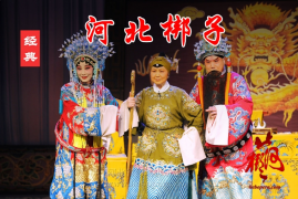 戏曲河北梆子 赵氏孤儿 状元打更 大全集 精选视频 100部