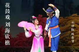 15部 湖南长沙花鼓 戏曲目大全mp4视频 百度网盘打包下载