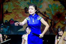 河南坠子书下载 白马告御状 打婆子 百度网盘 18部