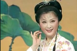 黄梅戏丁同主演老电影丫环断案劈棺惊梦合集MP4视频打包下载