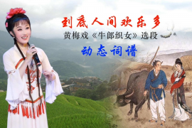 经典黄梅戏含牛郎织女 龙凤奇缘 船政风云等13部网盘MP4视频下载
