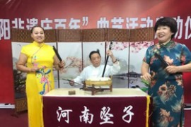 经典24部河南坠子音频王金豆借粮等MP3合集百度网盘打包下载