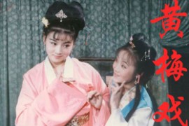 31部黄梅戏血衣仇神算记戏牡丹等MP4合集打包下载