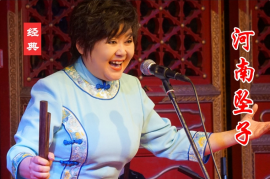 河南坠子《呼延庆打擂》全集下载朱立忠MP4百度云盘9集打包下载