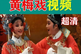 黄梅戏全剧完整版 金玉奴 棒打薄情郎等5部视频mp4打包下载视频下载