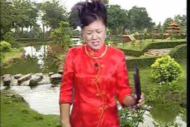 河南坠子大红袍第一部全集 莫红梅演唱