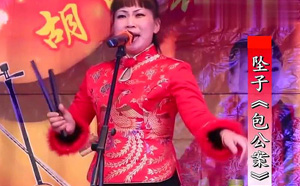 河南坠子视频包公案mp4百度网盘打包下载  第1张