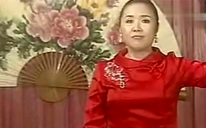 河南坠子大红袍全集19集莫红梅mp3音频打包下载