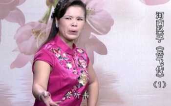 河南坠子岳飞传11集李双燕演唱mp3打包下载